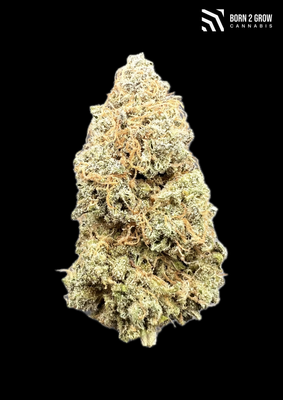Triple G ( Gelato x Gorilla Glue )
