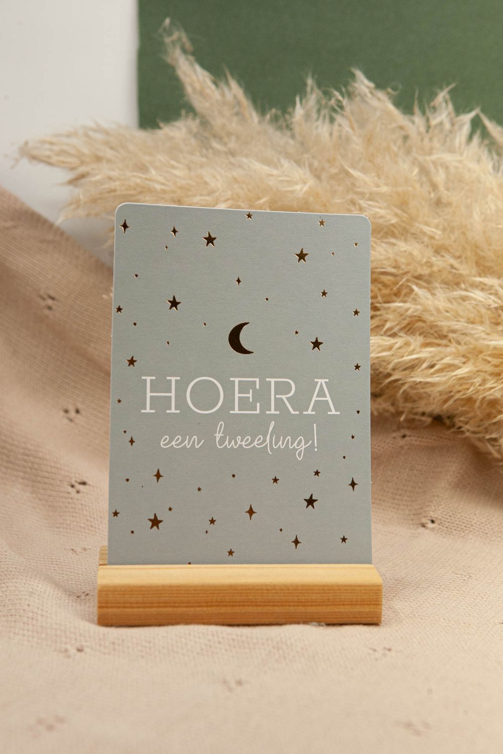 Card Hooray twins!