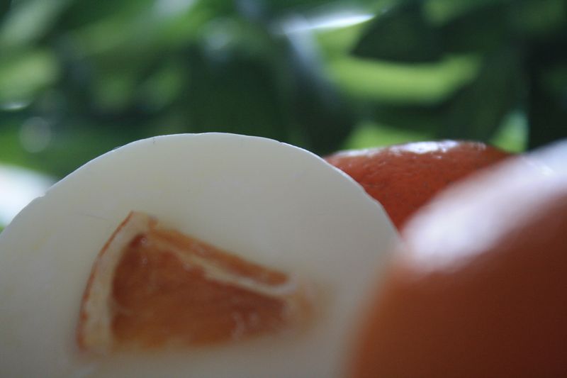 Orchard Scents Botanical Wax Melt