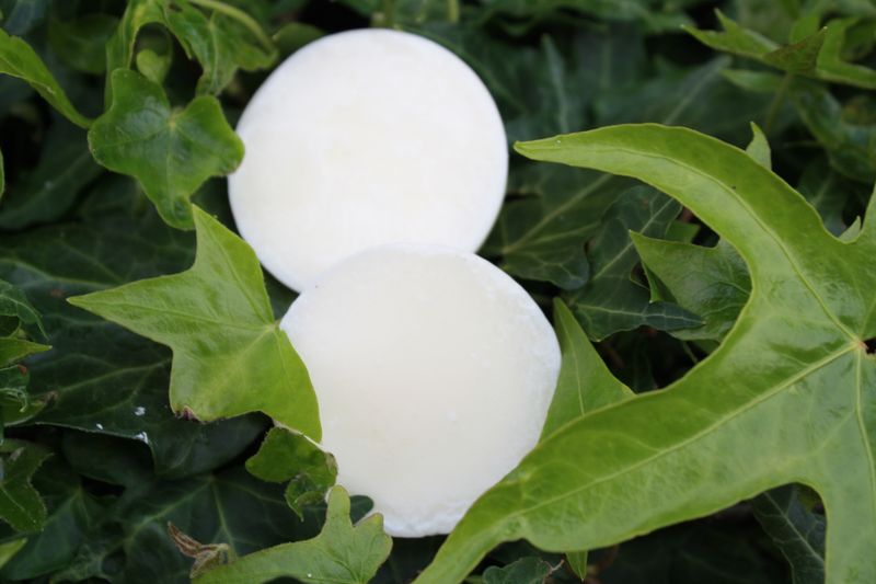 Warm Vanilla Wax Melt