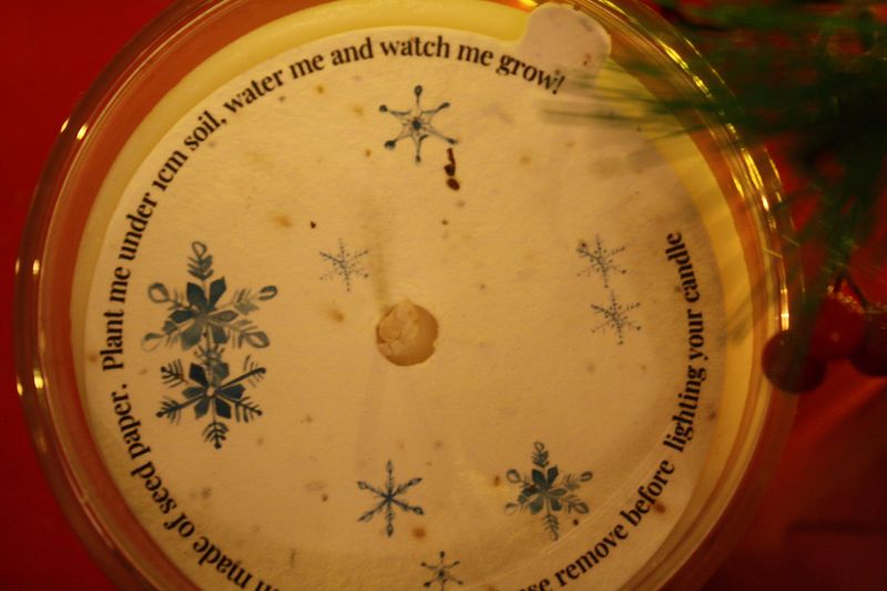 Cosy Christmas Luxury Candle with a plantable dust cover. 🎄