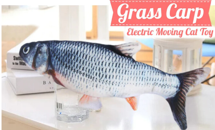 Floppy Fish Interactive Cat Toy with Catnip &amp; Cat Toy, Type: Grass Carp