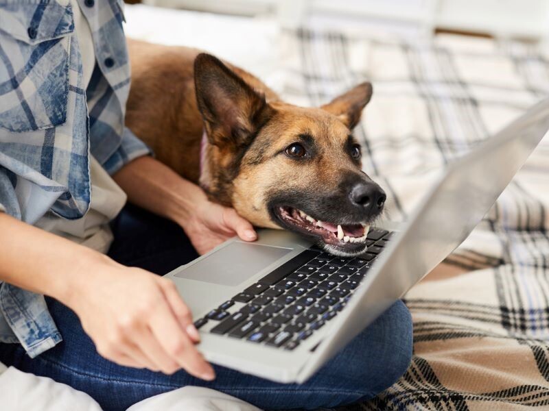 2024 Webinar Sponsor