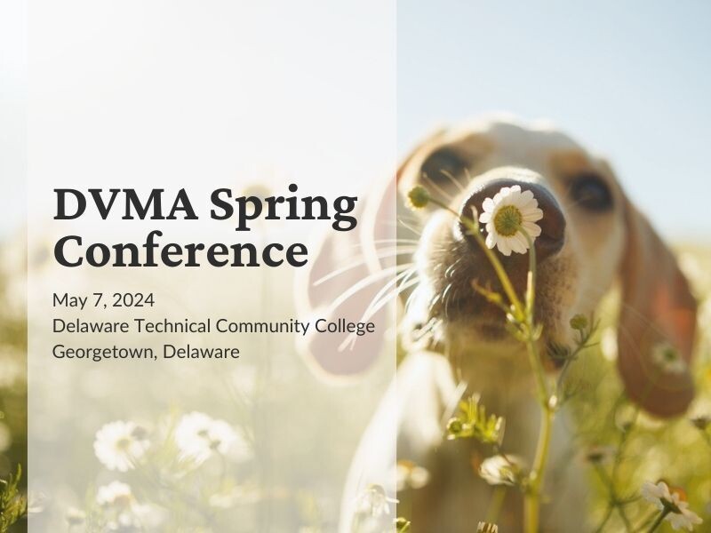 2024 Spring Conference: Member Veterinary Assistant/Support Staff