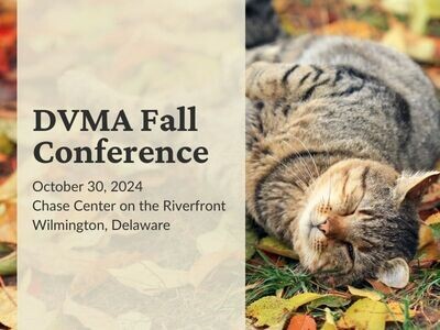 Exhibit Table: Additional Exhibitors - 2024 Fall Conference