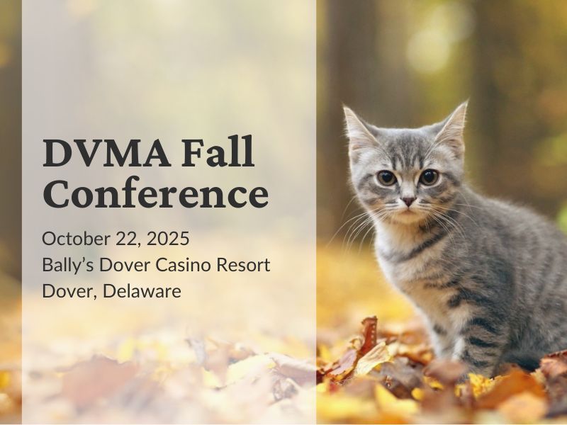 Exhibit Table: Additional Exhibitors - 2025 Fall Conference