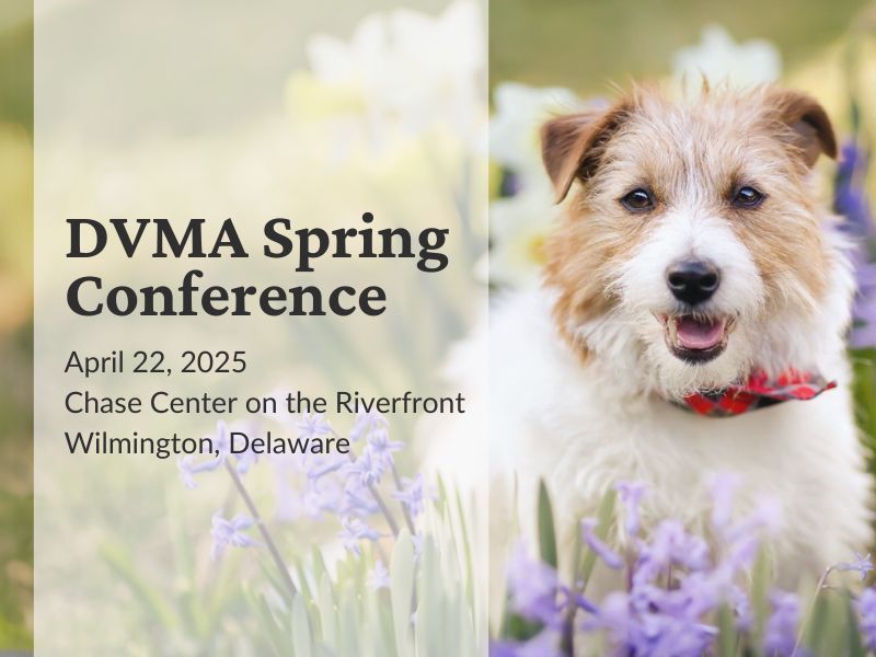 Sponsor - Breakfast: 2025 Spring Conference