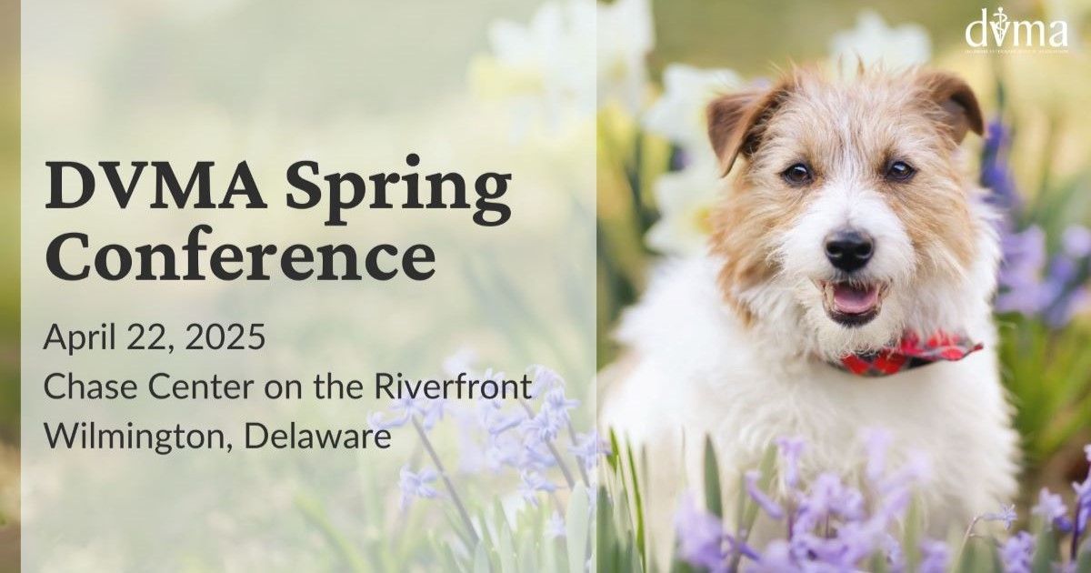 Exhibit Table: 2025 Spring Conference (NON-PROFIT RATE)