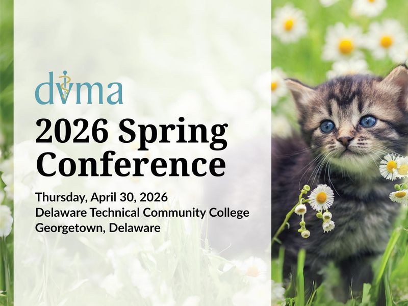 Exhibit Table: 2026 Spring Conference