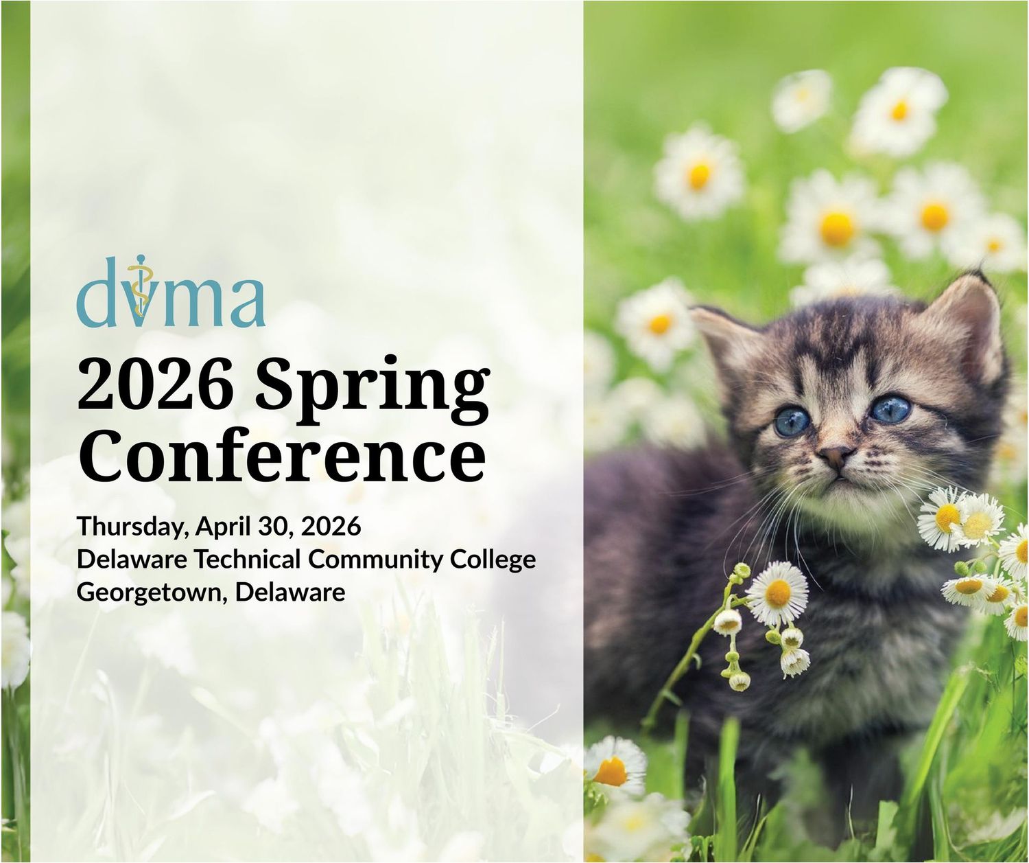 Sponsor - Break: 2026 Spring Conference