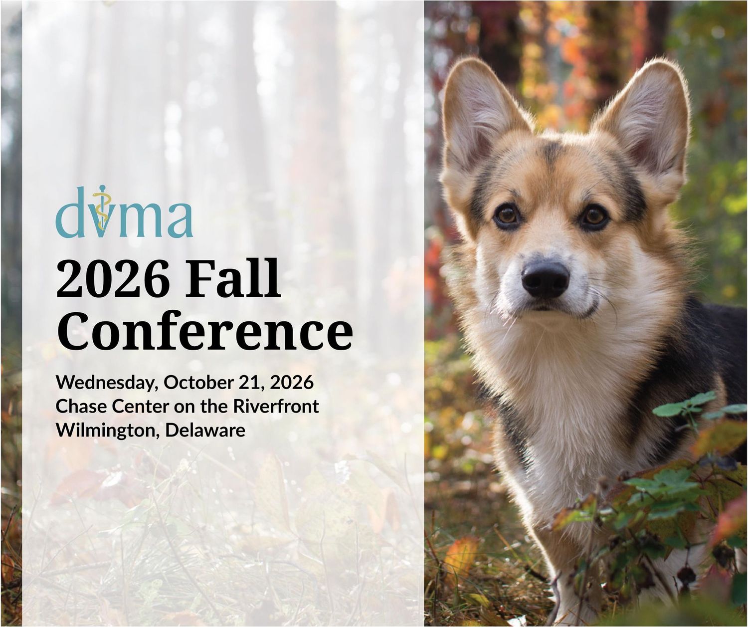 Sponsor - Speaker: 2026 Fall Conference
