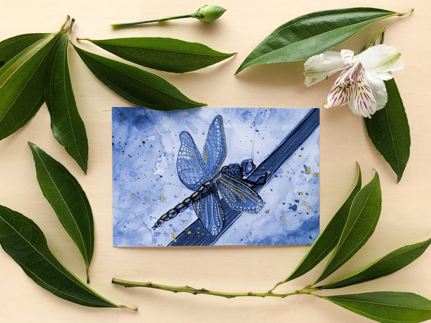 Navy Blue Dragonfly