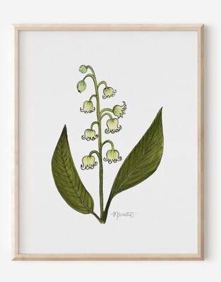 May Lily of the valley