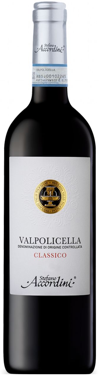 Stefano Accordini Valpolicella Classico 2023 750ml