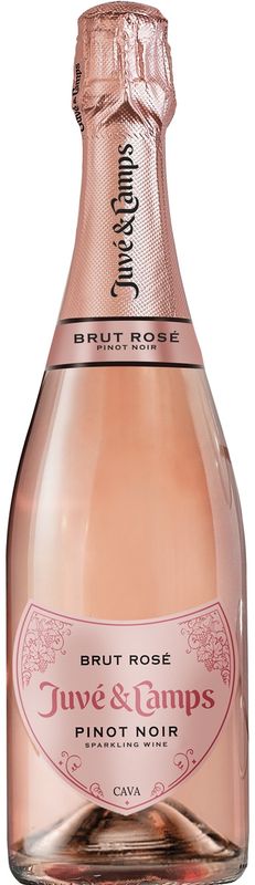 Juve &amp; Camps Brut Rosé Pinot Noir Cava 750ml