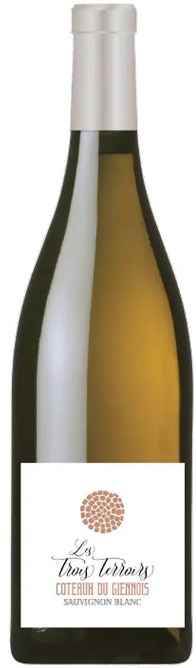 Les Trois Terroirs Coteaux du Giennois 2022 750ml