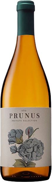 Prunus Private Selection Dao Branco 2021 750ml