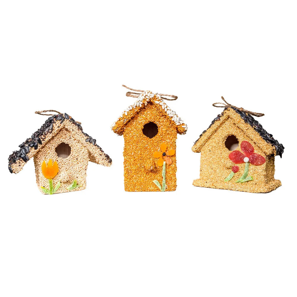 Spring Fruit Bird Cottages