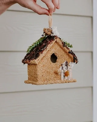 BIRD SEED AND HOUSES
