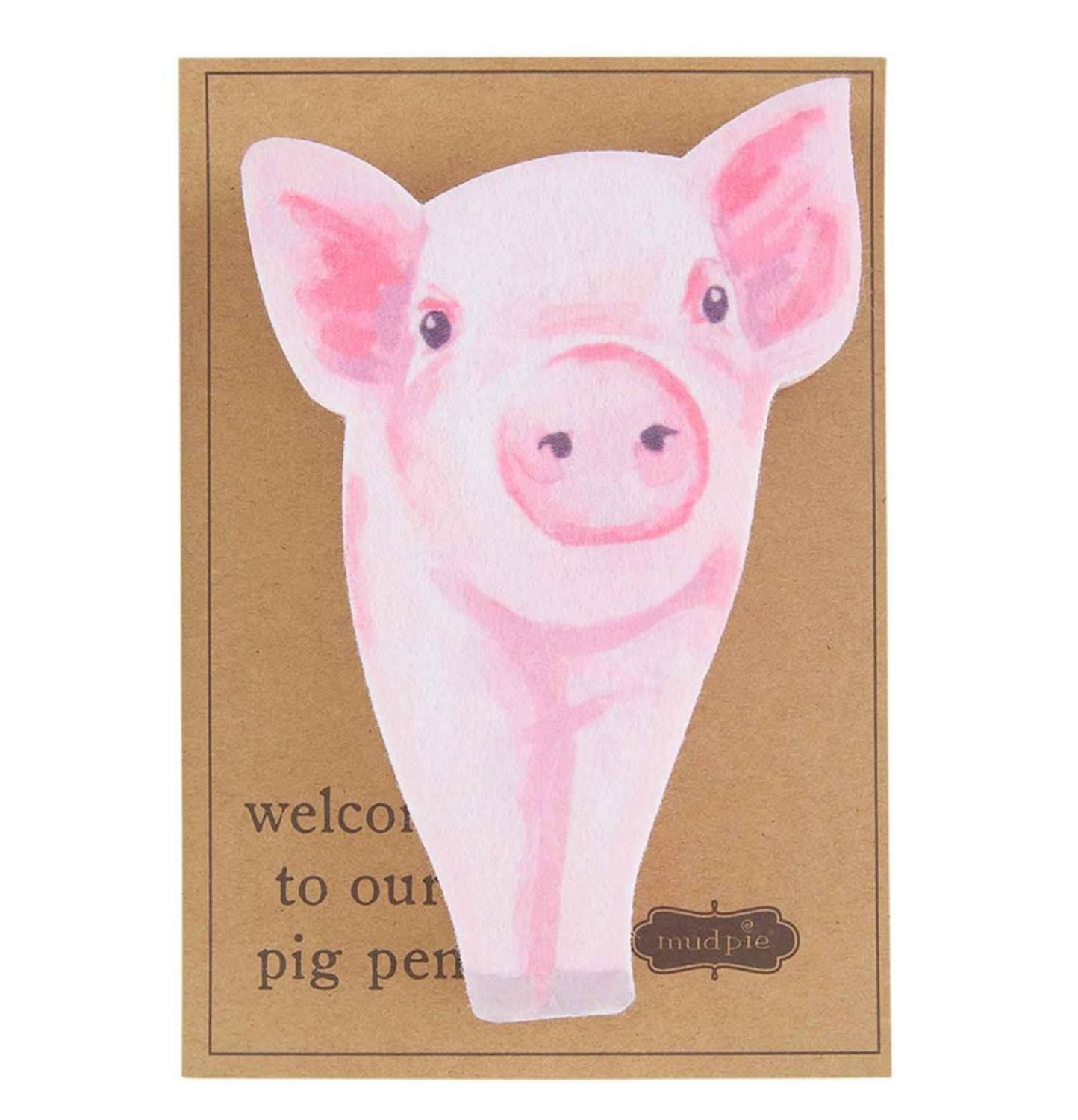 Pig Farm Animal Sponge
