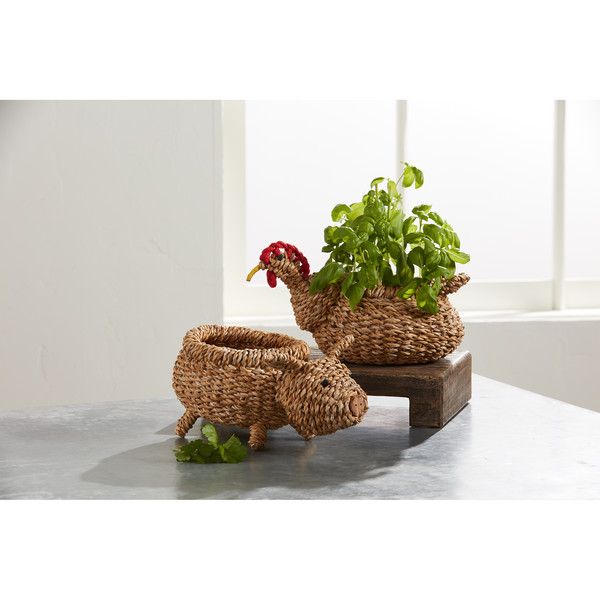 Chicken Woven Animal Planter