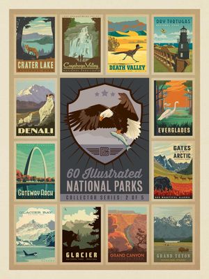 Puzzle, National Parks Collector Series- Eagle