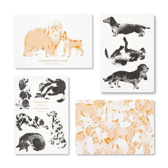 Dog Boxed Notecard Set, Appreciation &amp; Friendship