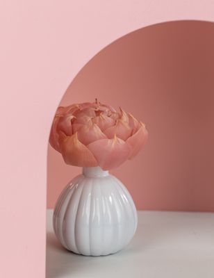 Fragrance