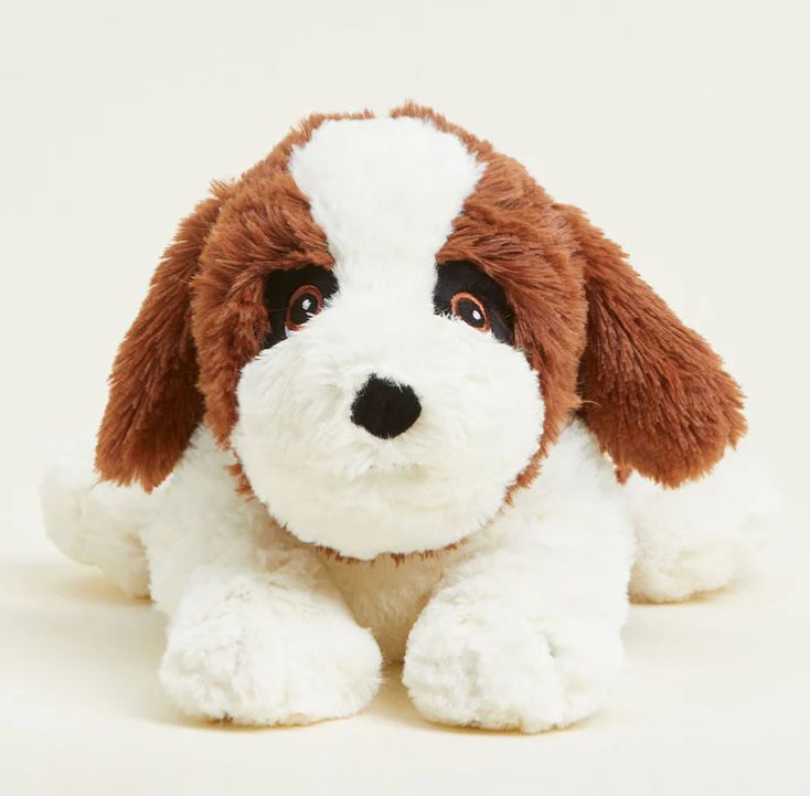 St Bernard Warmies