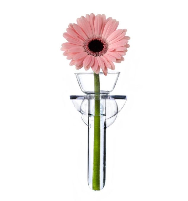 Wall Flower Bud Vase in Gift Box