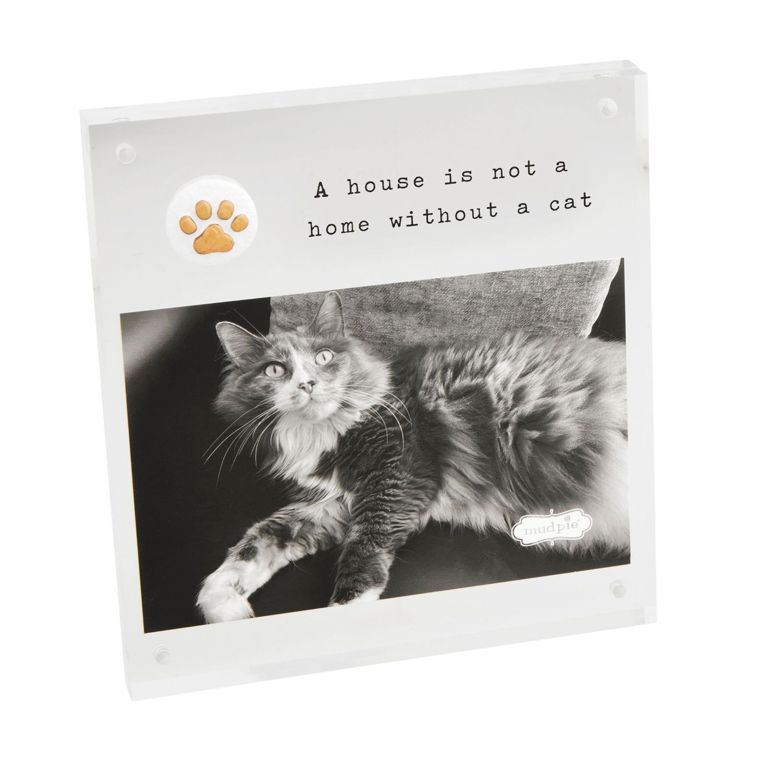 4X6 Acrylic Paw Cat Frame