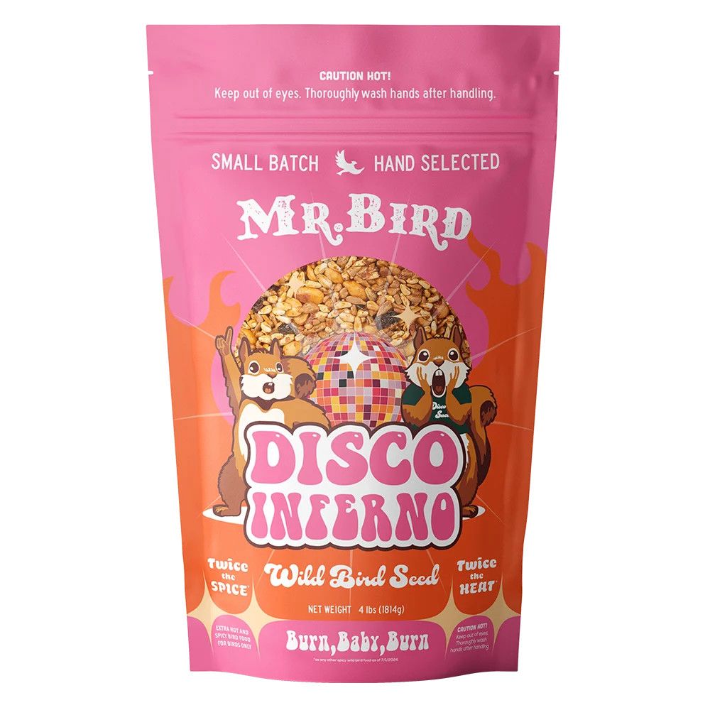Large Wild Bird Seed, Disco Inferno