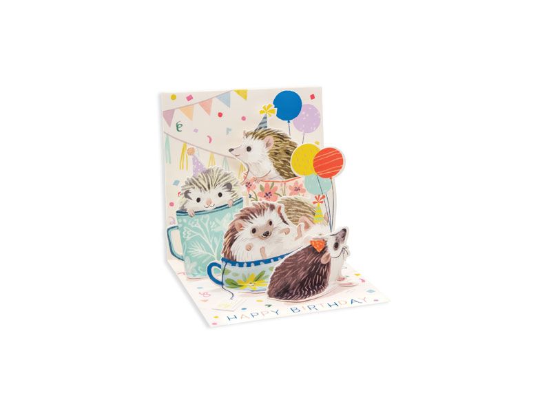 Mini Pop Up Card, Hedgehog