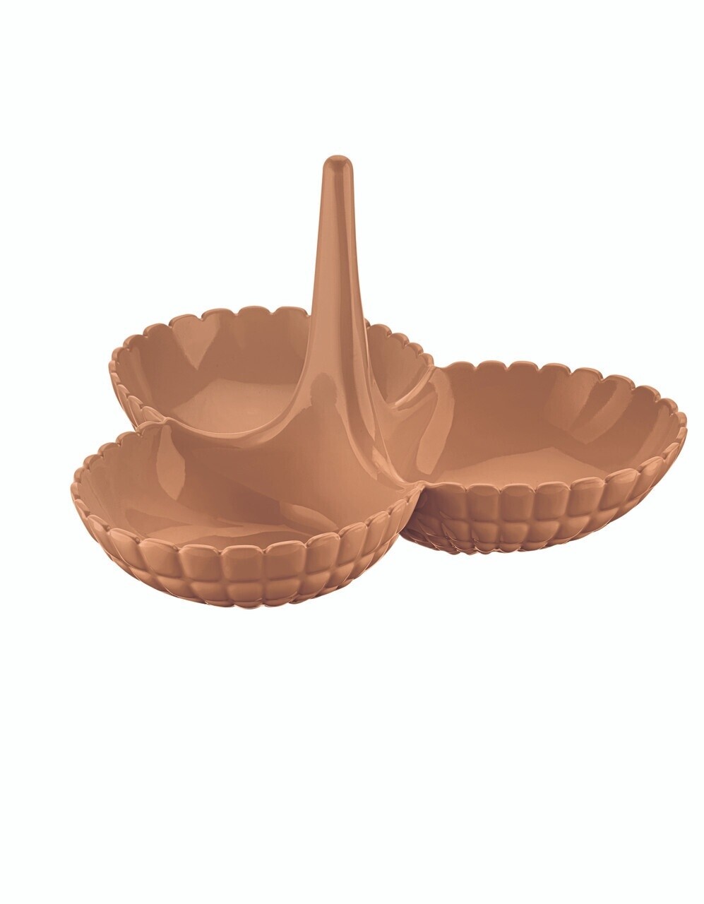 Hors d&#39;oeuvres dish terracotta