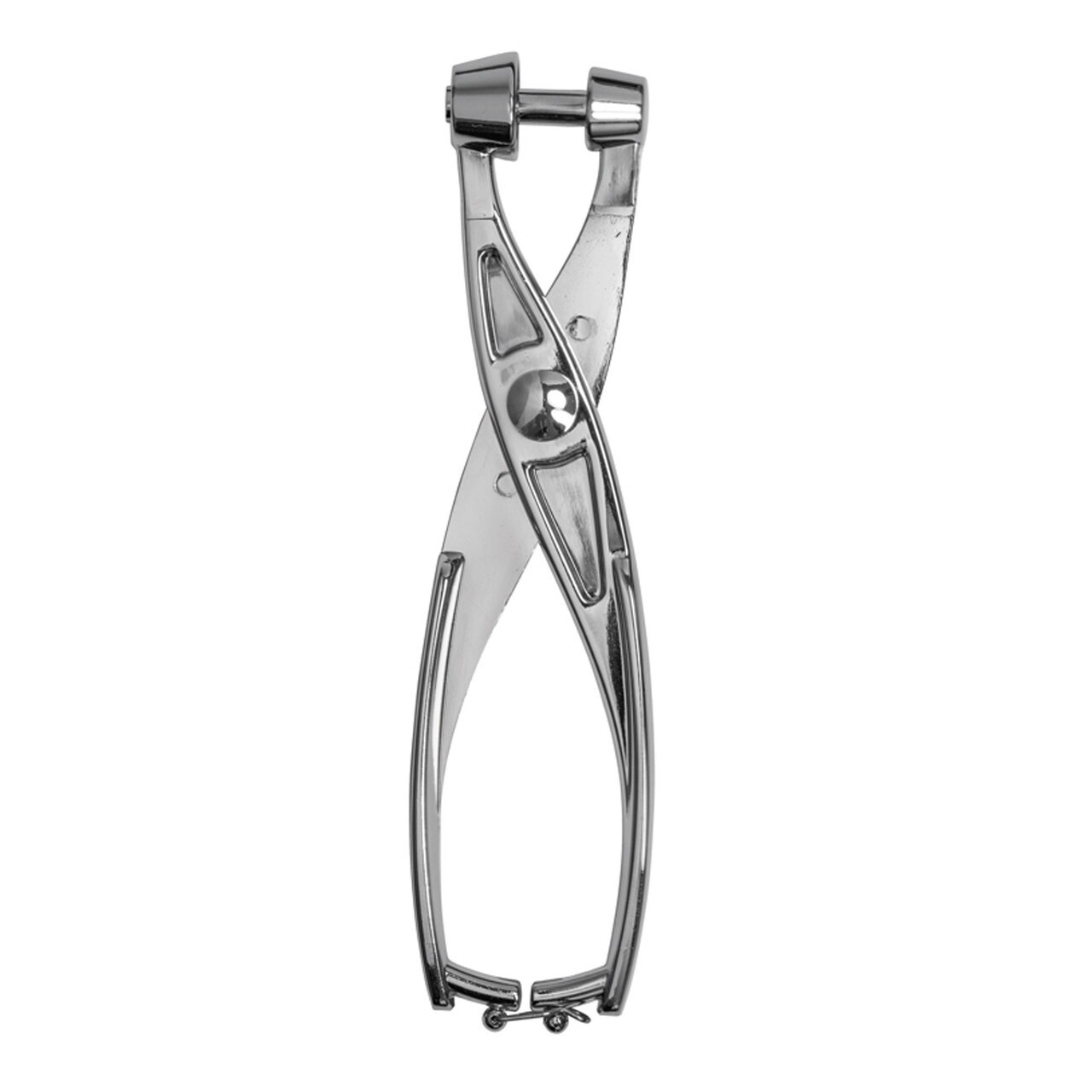 Alloy Cherry And Olive Pitter