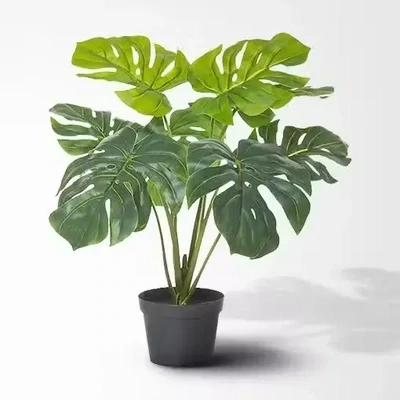 Artificial Plants and Pots