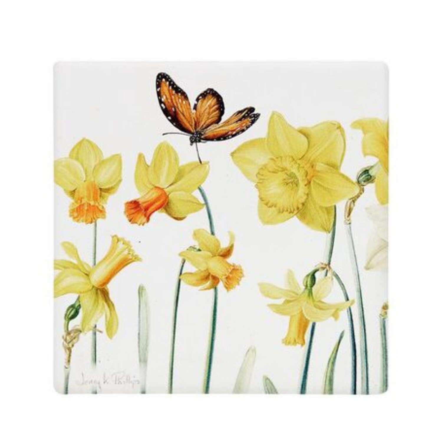 Jenny Phillips Ceramic Coasters 48 Pack Sort