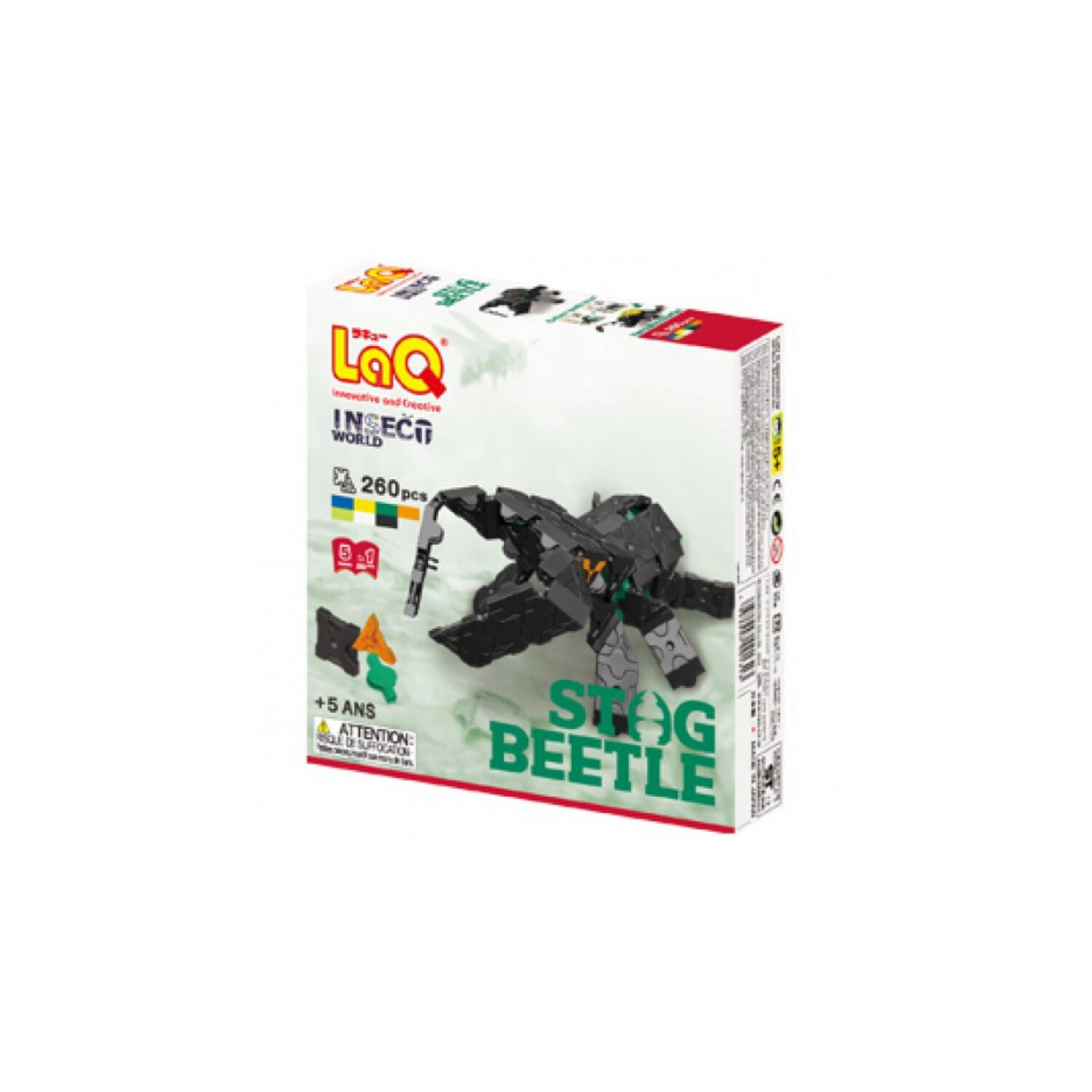 Insect World - Steg Beetle