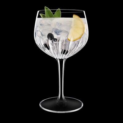 Gin Glasses