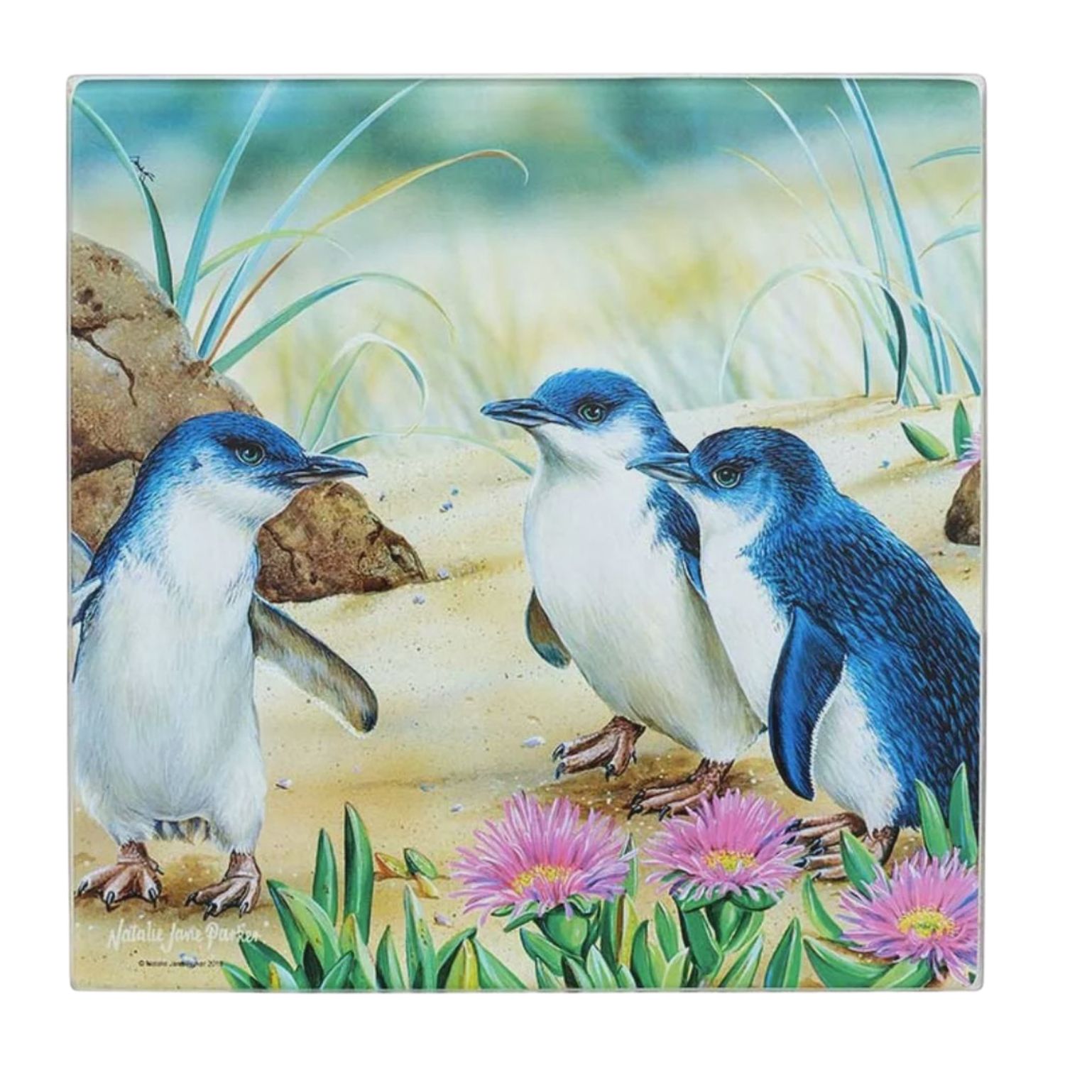 Aus Bird &amp; Flora Penguin Trivet