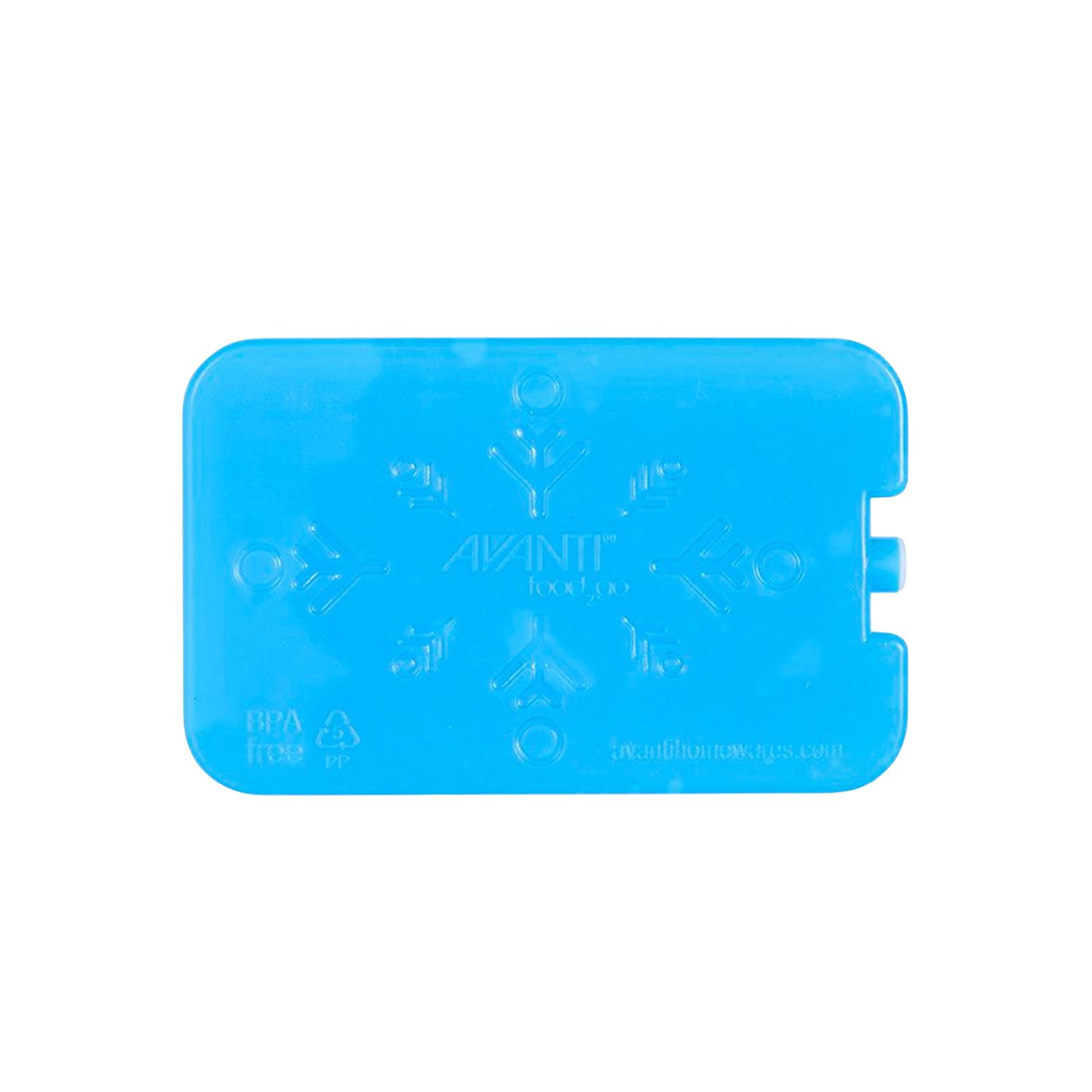Gel Ice Brick Set of 2