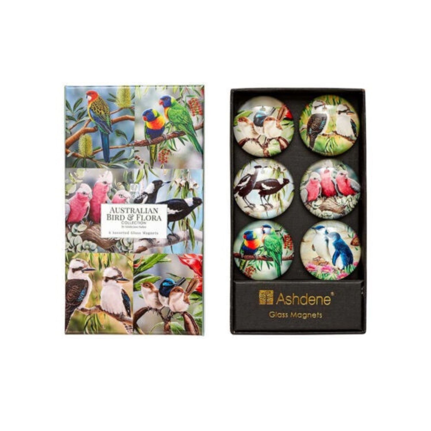 Aus Bird &amp; Flora 6 Pack Magnet