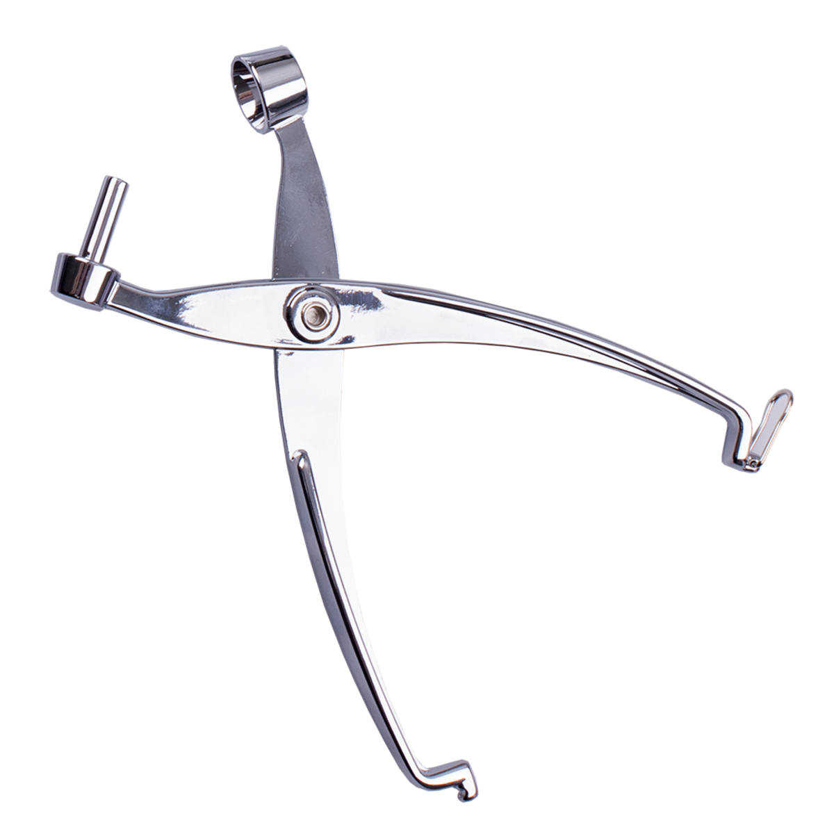 Cherry &amp; Olive Pitter