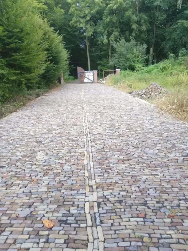 Oude waaltjes paars