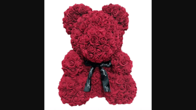 rose bear color red dark
