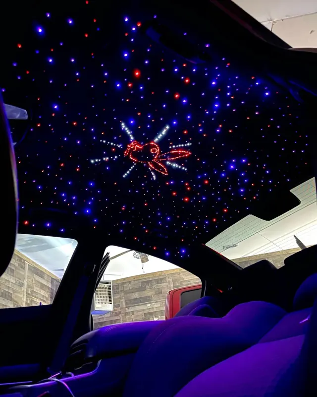 1000 Stars Twinkle with Installation