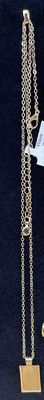 GP Necklace w/ Rectangle Ray Pendant