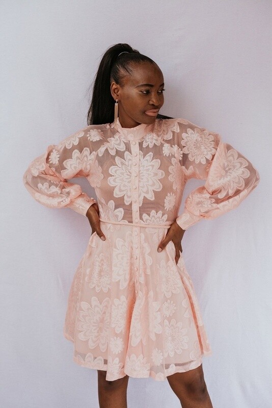 Mini Longsleeve Lace Dress (Pink)