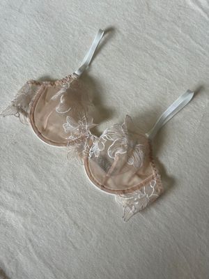 Lingerie Lace Bra (White &amp; Nudes)