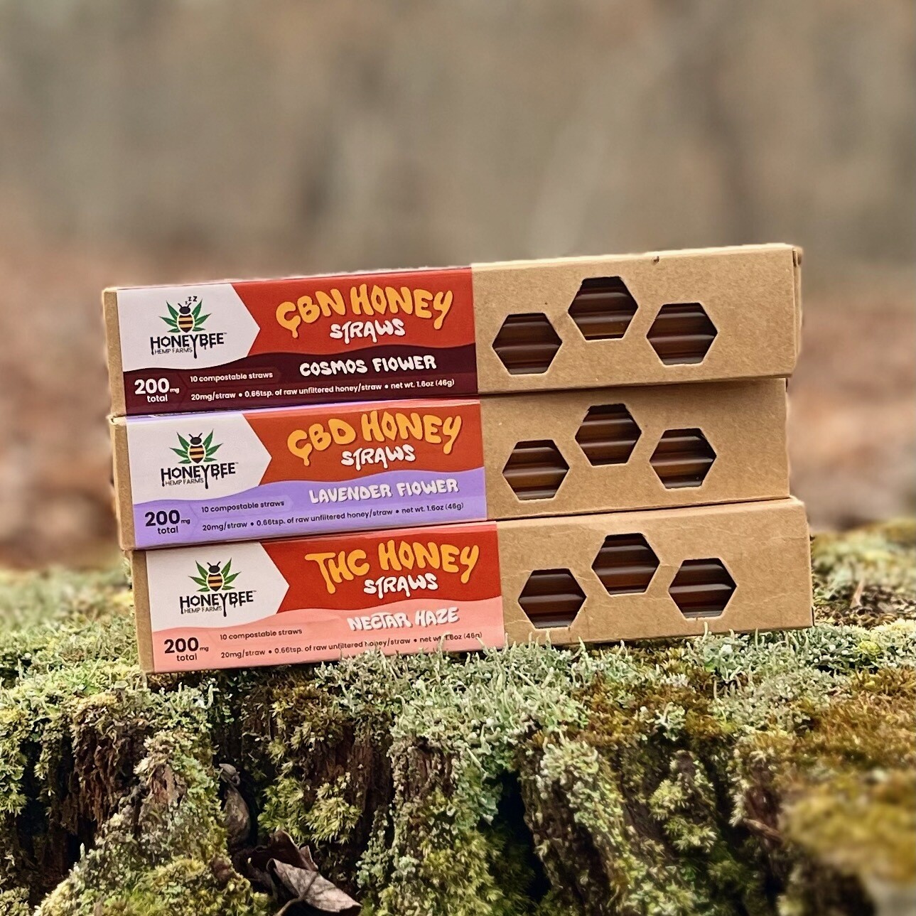 Honey Straw Box Bundle